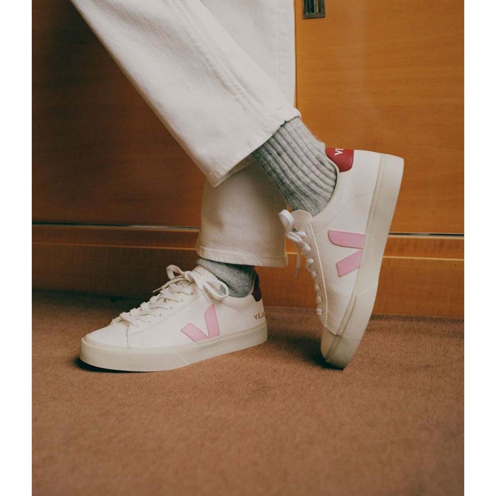 Men's Veja CAMPO CHROMEFREE Low Tops Sneakers White/Pink | SG 293YXF